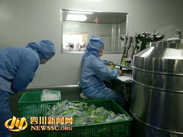 蓉城探秘 化妆品开放日引领市民走进本土制造之美